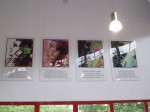 recht-kulinarisch2-sabine-heine-bilder